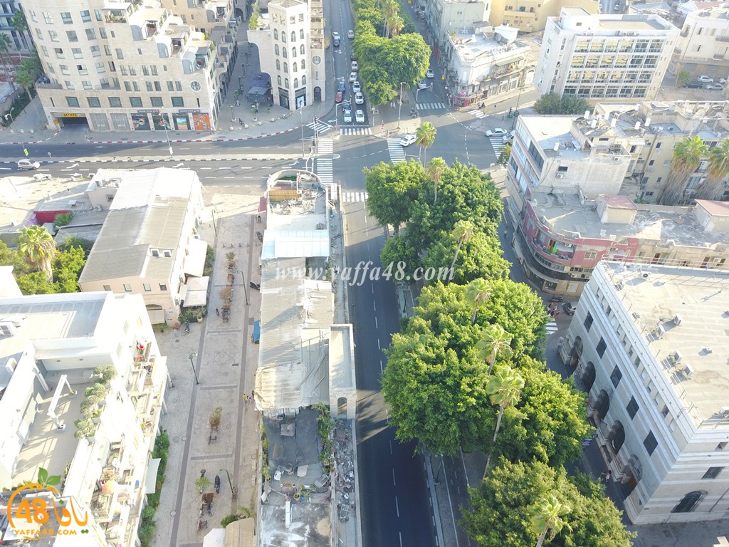 jamal basha tsterre (43).JPG